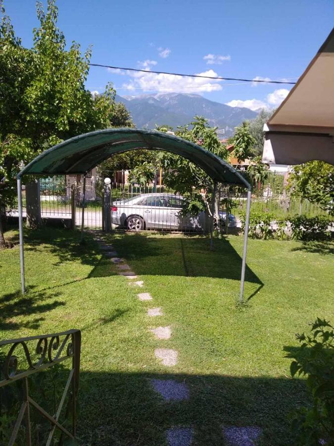 Ioannis Seaside Villa Leptokaryá Eksteriør billede